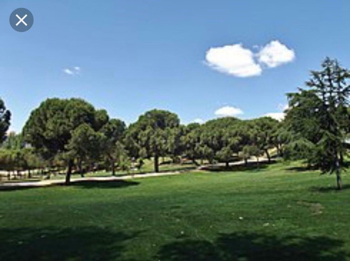 San Isidro *